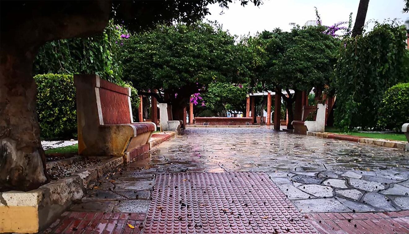 Glorieta País Valencià de Dénia, donde fue denunciada la mujer