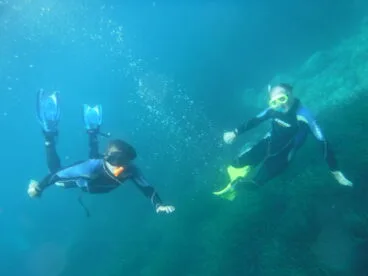 La creación de áreas marinas protegidas suficientemente grandes generan numerosos beneficios, como el aumento de la pesca fuera de las áreas protegidas a la posibilidad de desarrollo de actividades de buceo, tanto con botella como en snorkel
