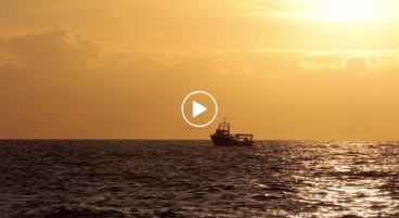 La Franjumar de regreso a Dénia tras su jornada de pesca play