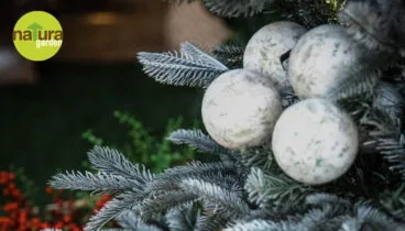 Weihnachten im Naturgarten