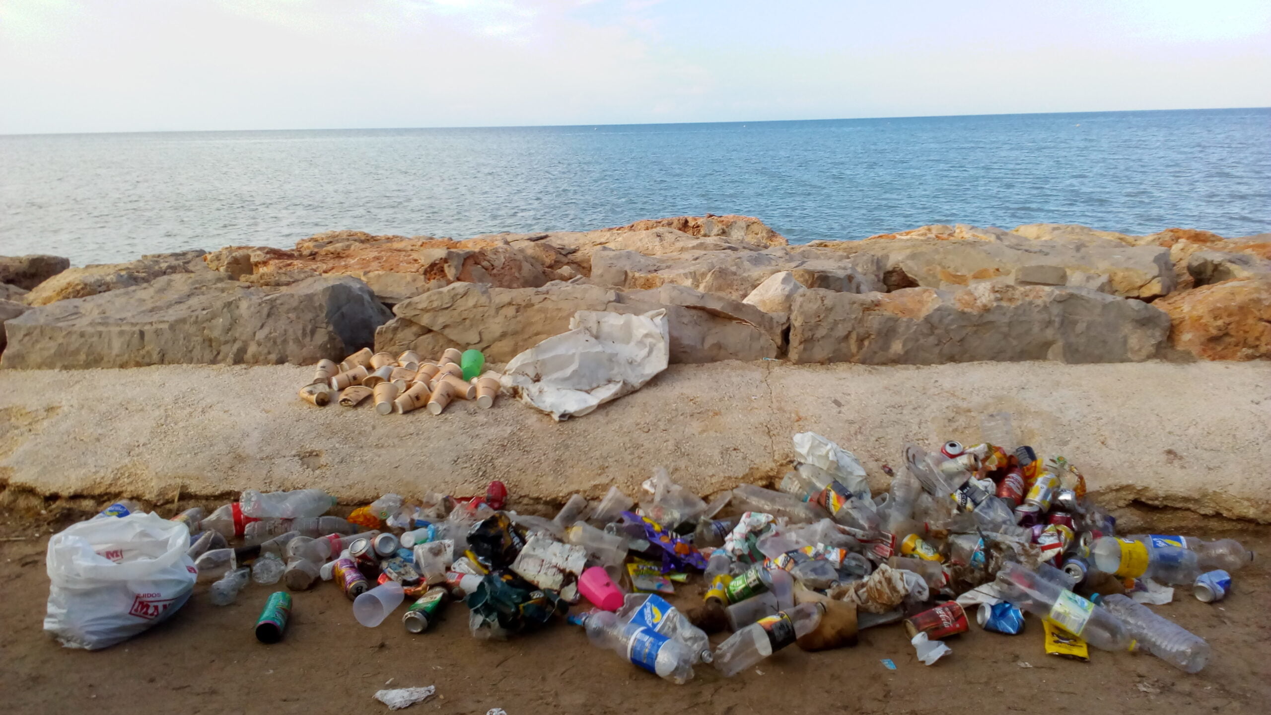 Residuos recogidos en la playa del Raset de Dénia