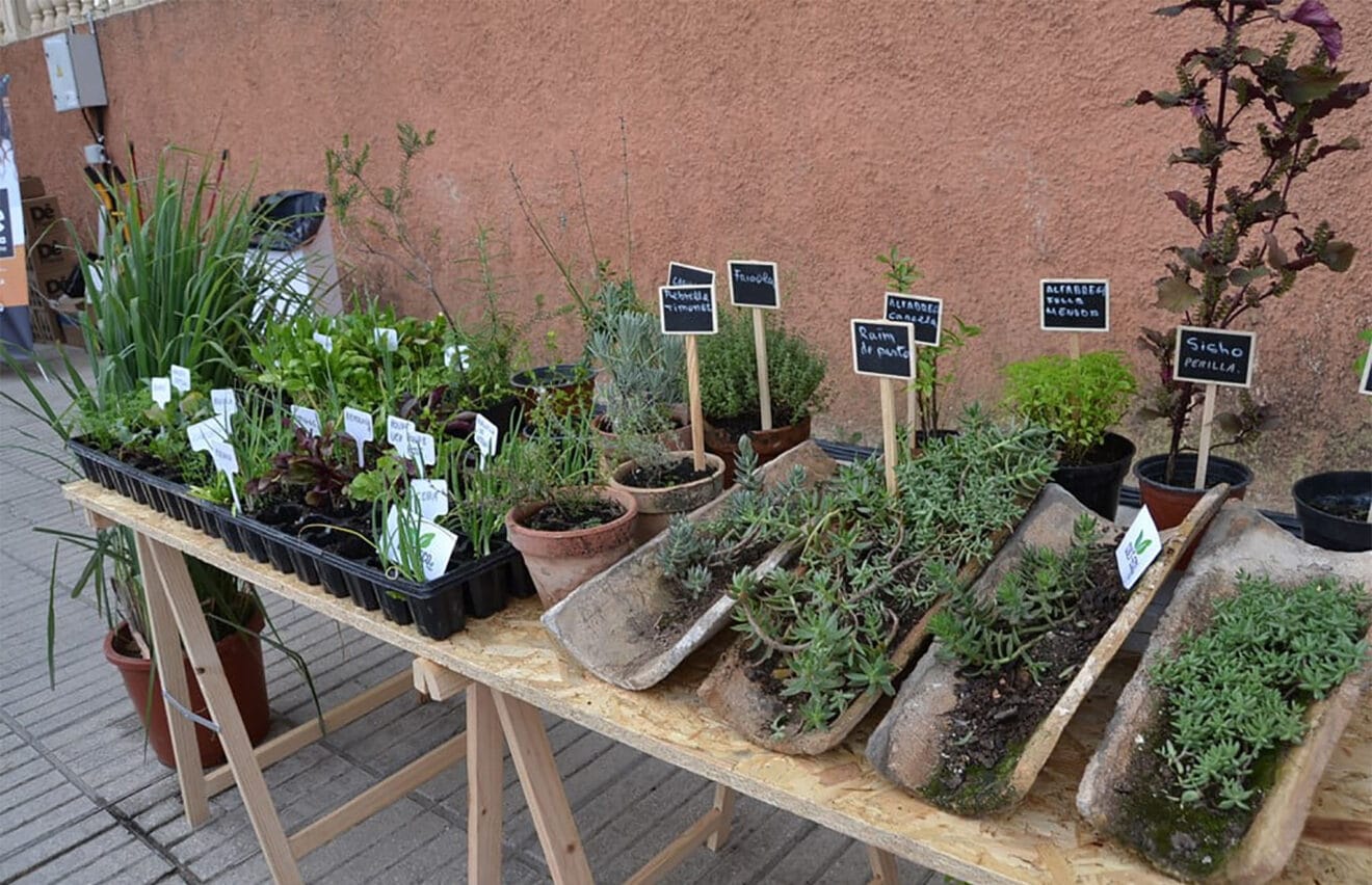 Uno de los puestos del D*na Festival