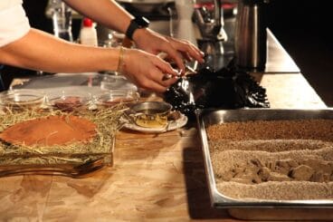 Actos del D*na Restaurant de la tarde del domingo 39