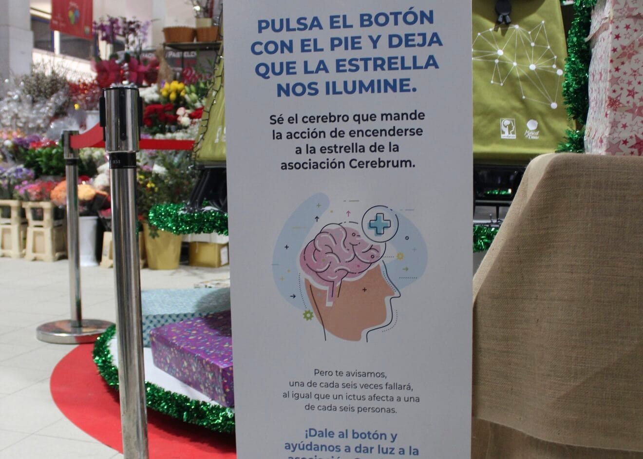 Cartel informativo del árbol dedicado a Cerebrum
