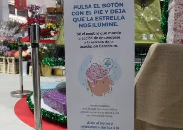 Cartel informativo del árbol dedicado a Cerebrum