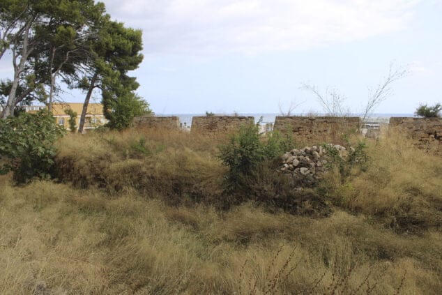castillo de denia con maleza y zonas para restaurar