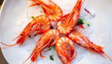 El mejor marisco local servido junto al mar en Restaurant Estanyó