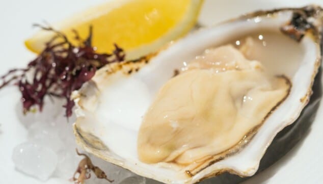 mariscos de lonja que capturan la esencia de la cocina dianense