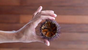 Mariscos frescos del Mediterráneo en el corazón de Dénia