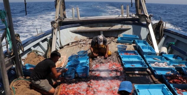 Imagen: Pescadores sobre la Franjumar seleccionando la gamba