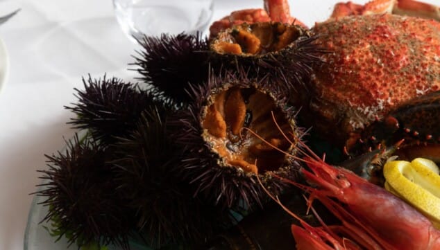 sabores del mar con producto fresco y tradicion en cada plato