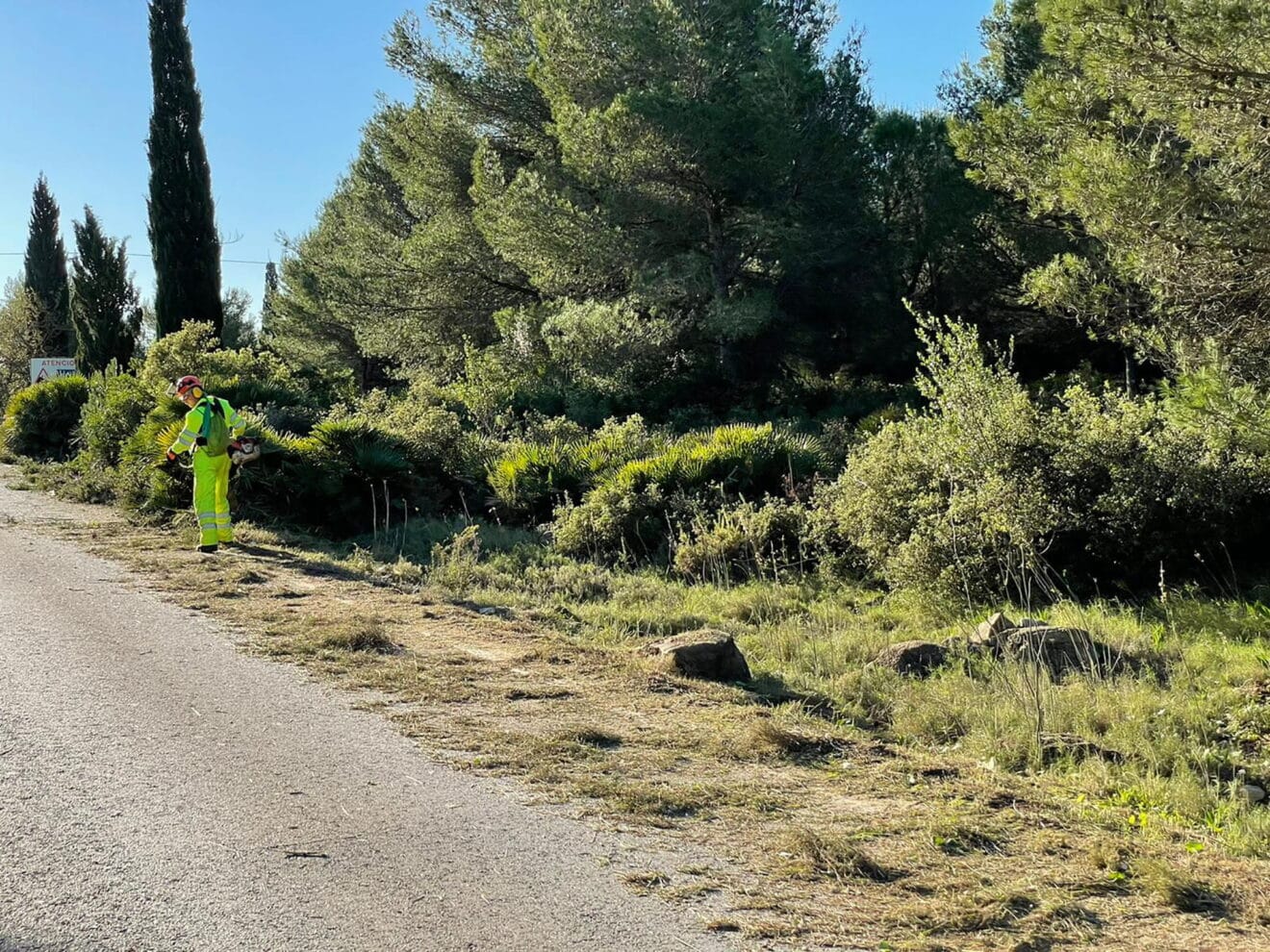 Trabajos de limpieza realizados en la zona de Xàbia