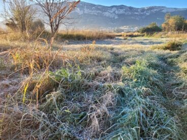 Parcela cubierta de hielo en Dénia
