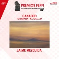 Imagen: Fotografía ganadora de Jaime Mezquida