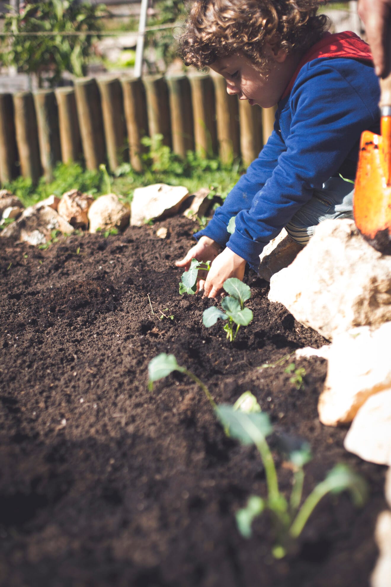 Los niños cuidan del huerto de la Escuela Internacional Waldorf El Montgó