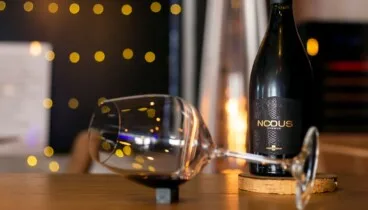 Vinos de autor que elevan cada bocado en Dénia