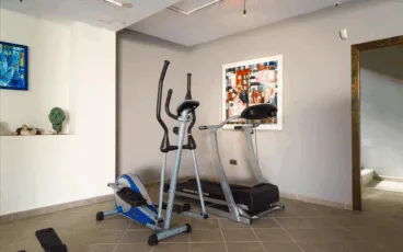 Zona gimnasio de la Villa Daru dunya disponible con Aguila Rent a Villa