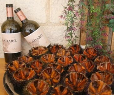 Erizos de mar frescos en La Paraeta del Montgó