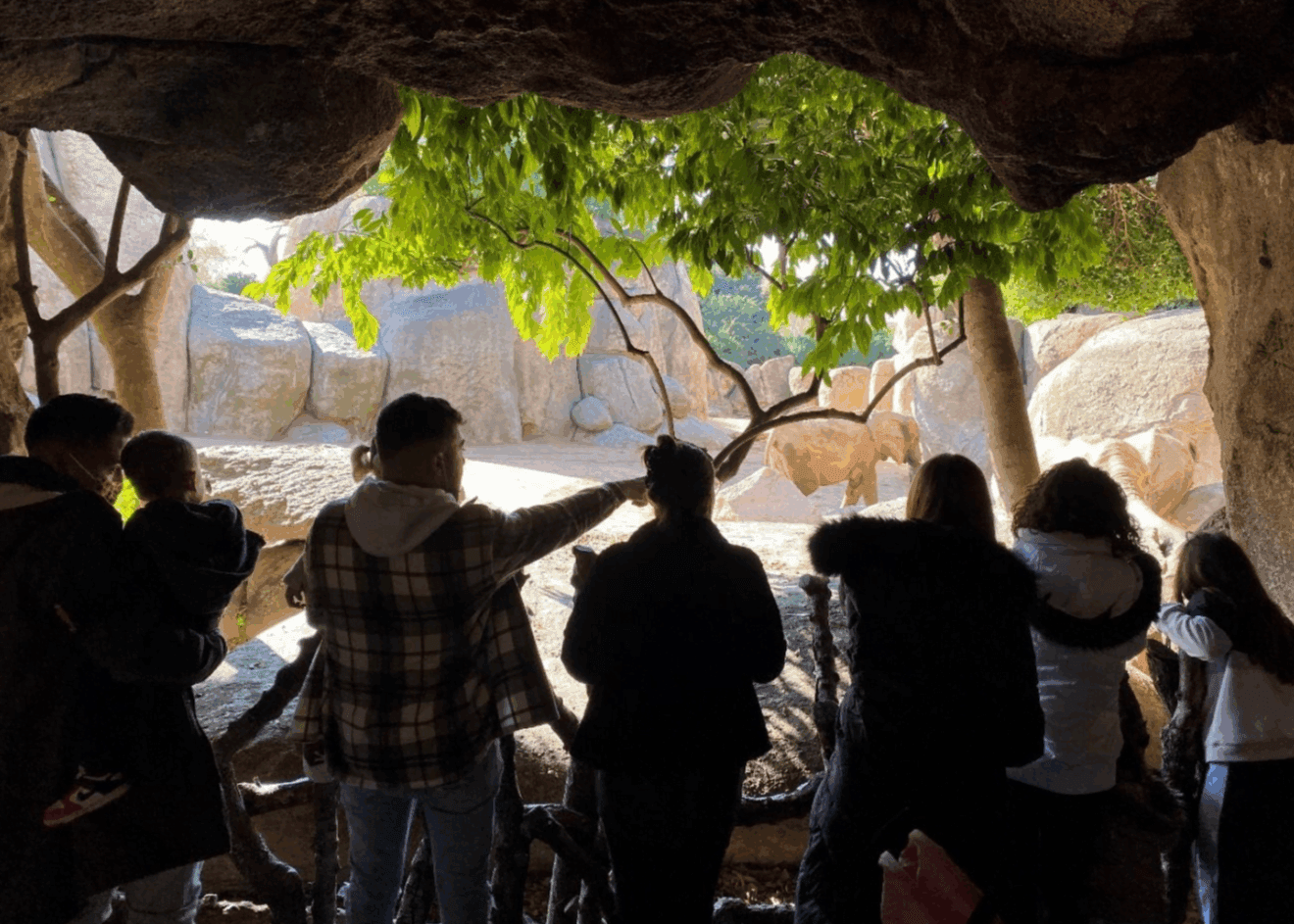 Excursión al Bioparc con los niños en Escolanova