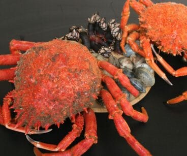 Marisco fresco en La Paraeta del Montgó