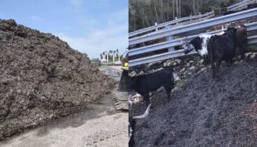 proyecto agro posidonia