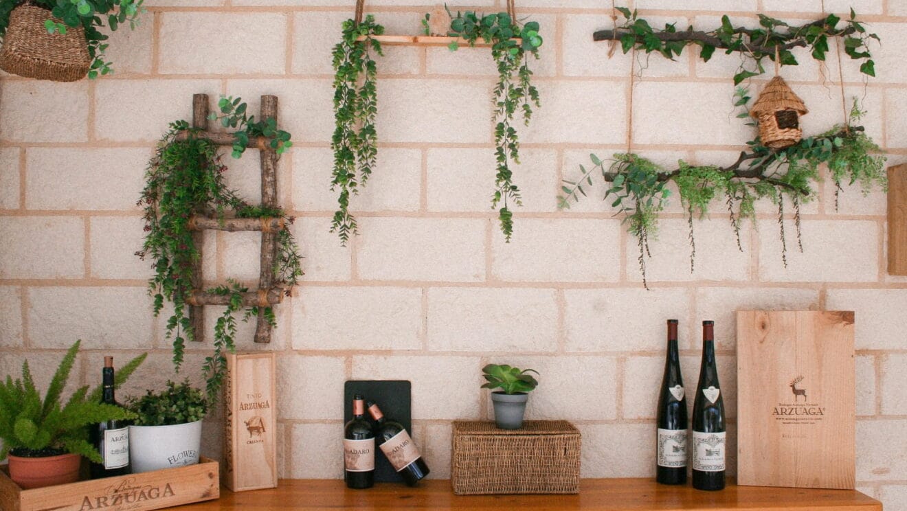 Vinos en La Paraeta del Montgó