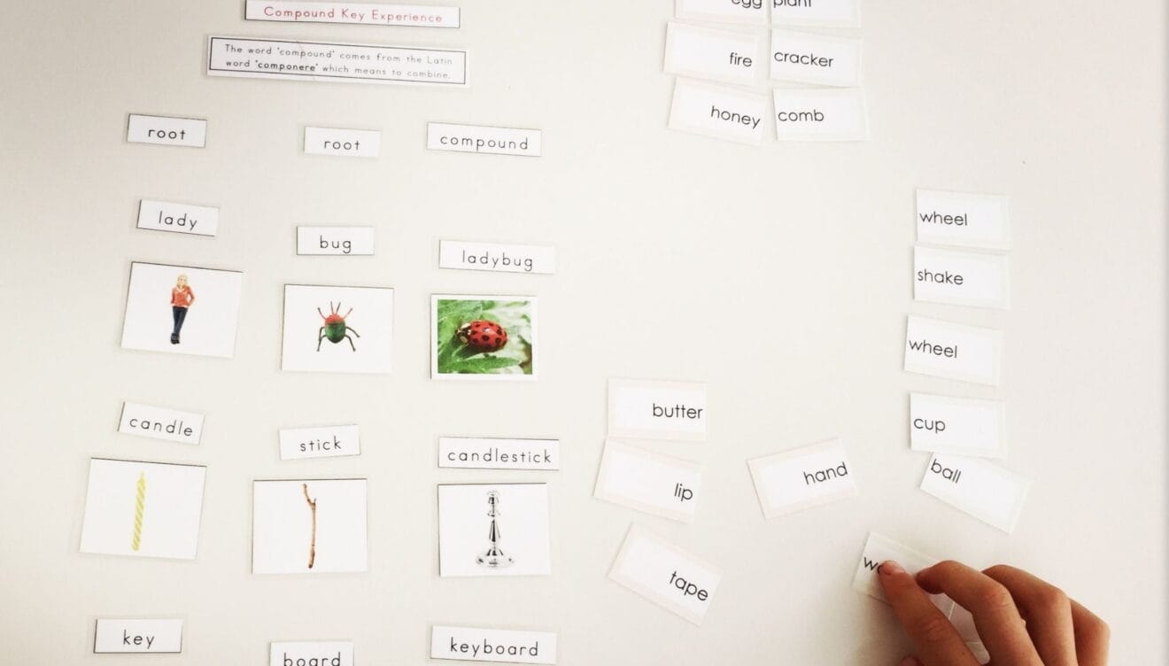 Aprender inglés jugando en Dénia