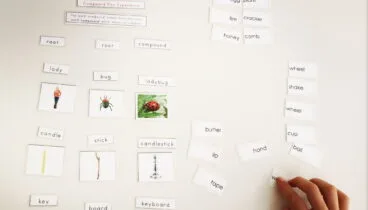 Aprender inglés jugando en Dénia