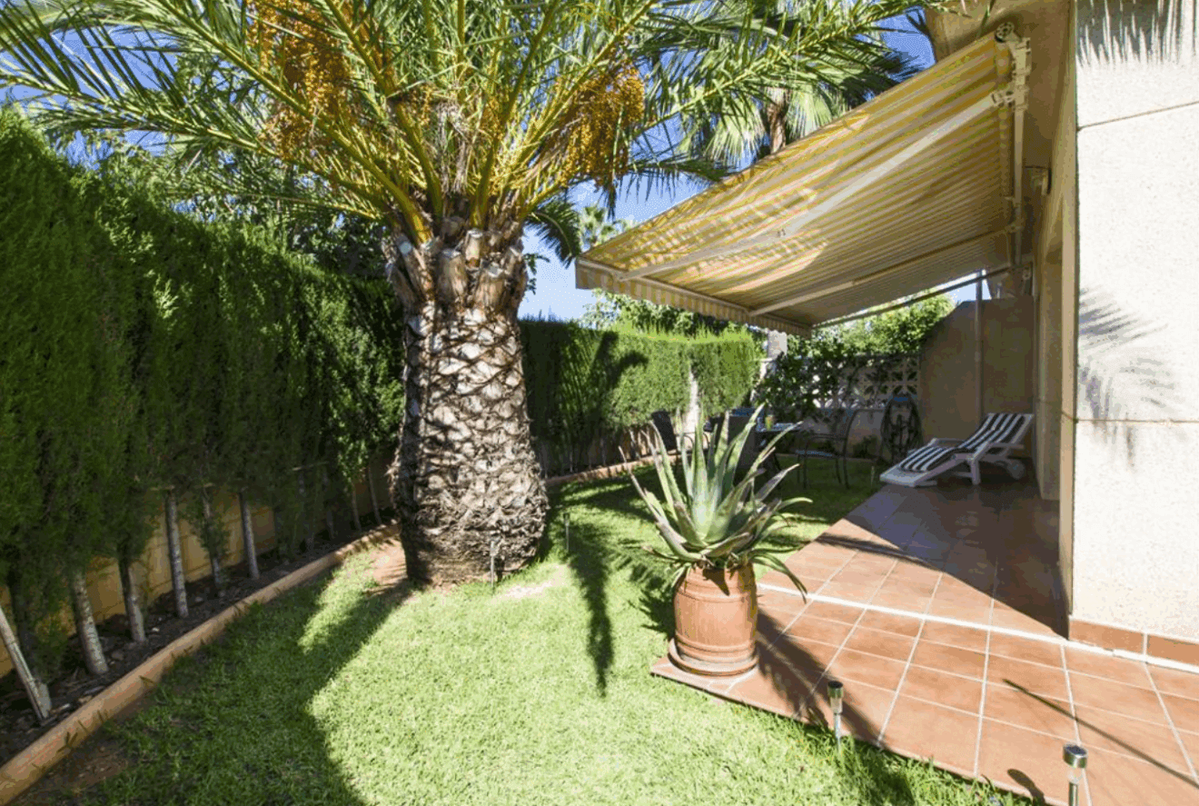 Jardín del adosado con palmera y conjunto exterior