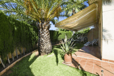 Jardín del adosado con palmera y conjunto exterior
