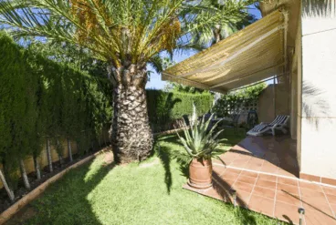 Jardín del adosado con palmera y conjunto exterior