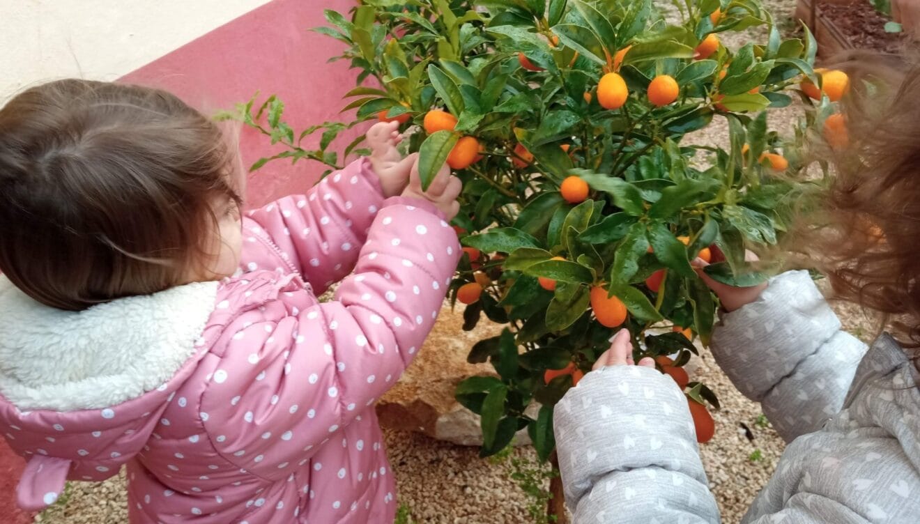 Los más pequeños cuidan del huerto