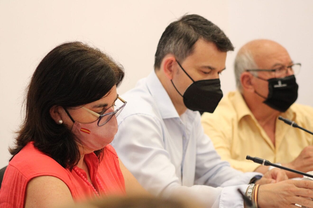 Maria Mut en uno de los plenos de Dénia