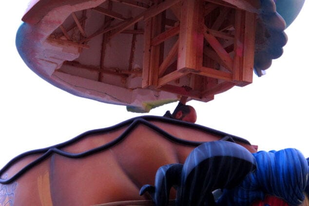 primeras plantas de denia 2022 la baix la mar y saladar 07