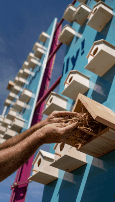 Casas para pájaros en vallas publicitarias de Portal de la Marina