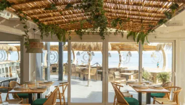 El encanto del espacio domina el ambiente