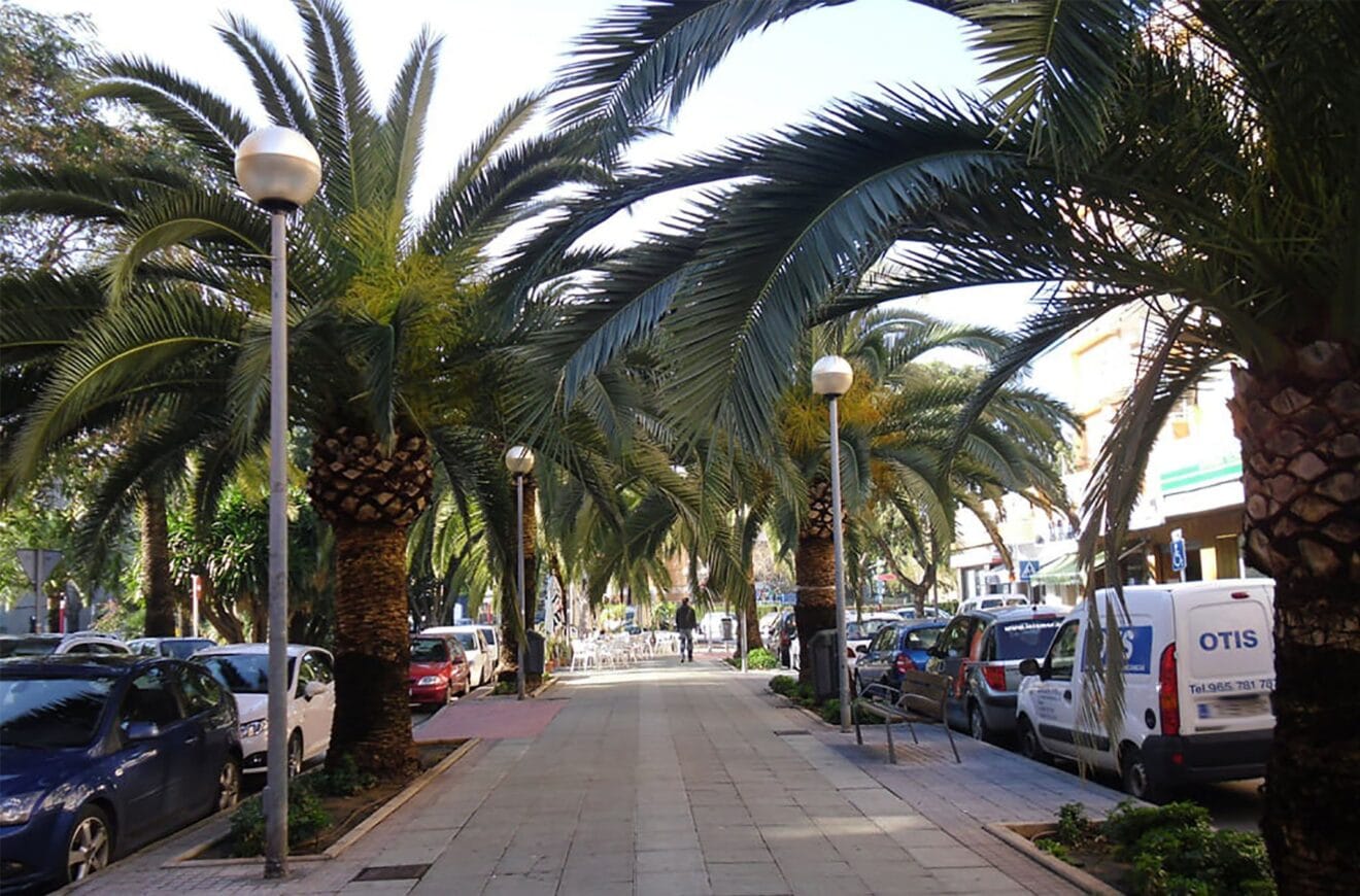 Foto de archivo del paseo Saladar de Dénia