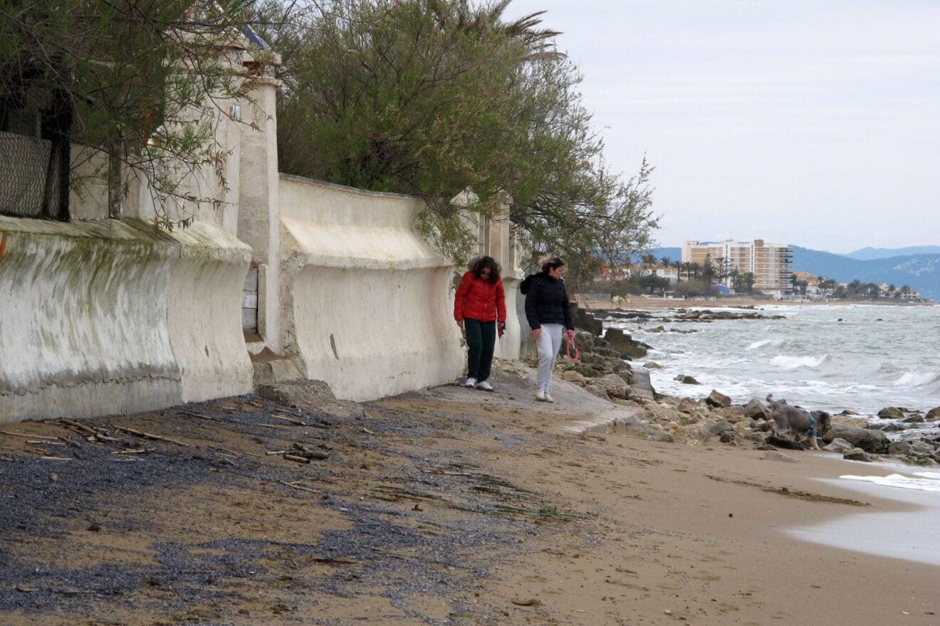 Manto de medusas sobre las playas de Dénia 01