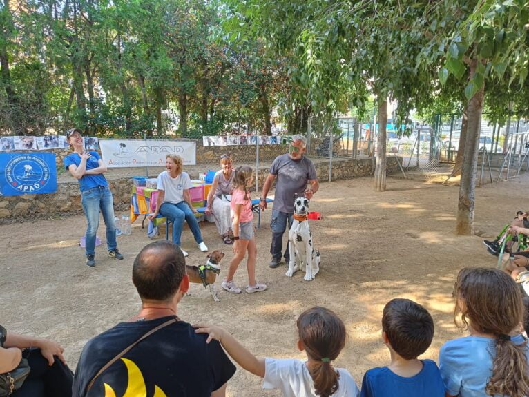 APAD holds a workshop on the day of a berenar al parc