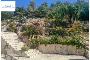 Exterior de la villa con mucha vegetación