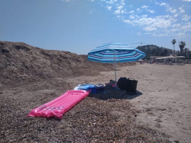 ¿Qué son los "bichos" que han aparecido en playas de Dénia y qué peligro suponen? 2 Imagen: Lugar donde aparecieron varios de estos crustáceos