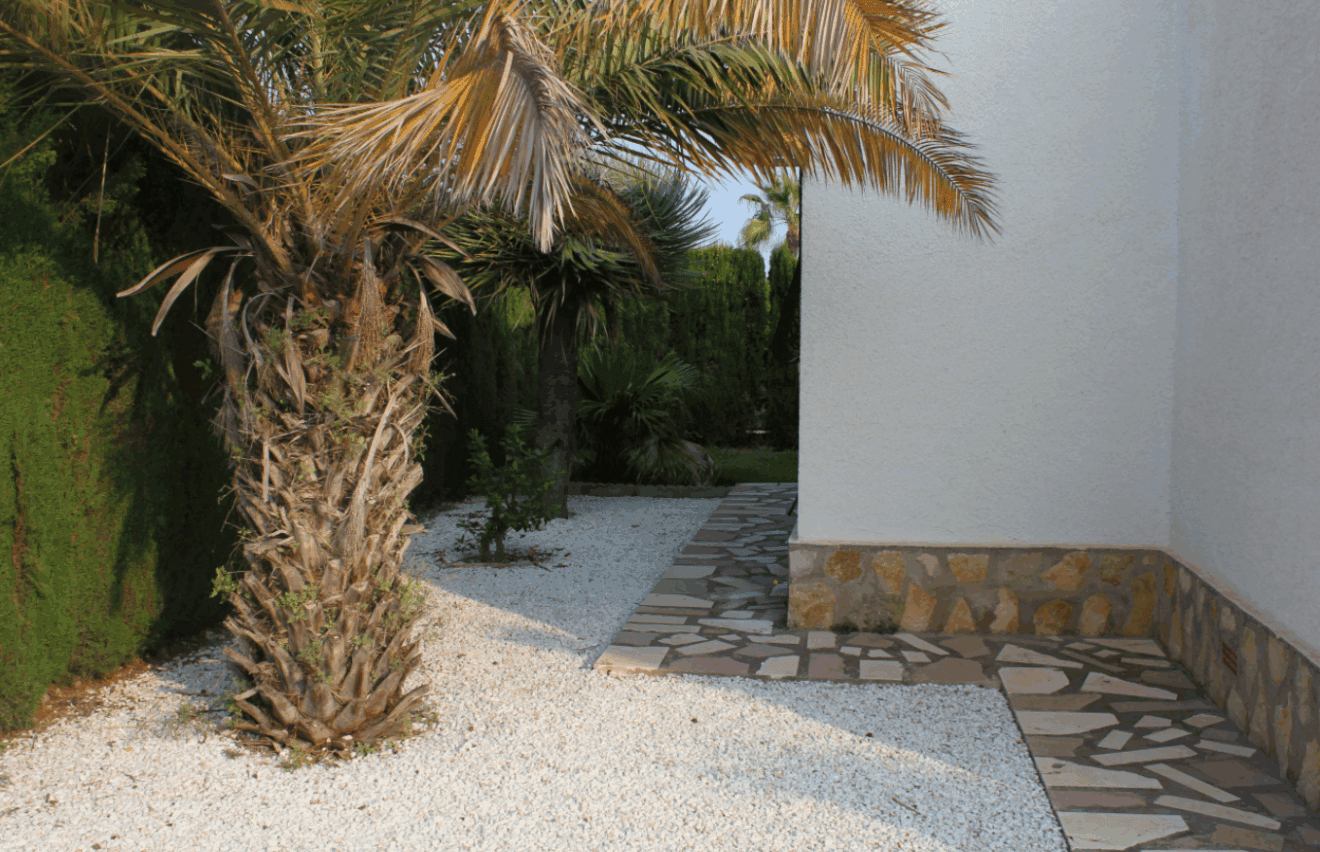 Parte trasera de la vivienda con palmeras y suelo de piedras