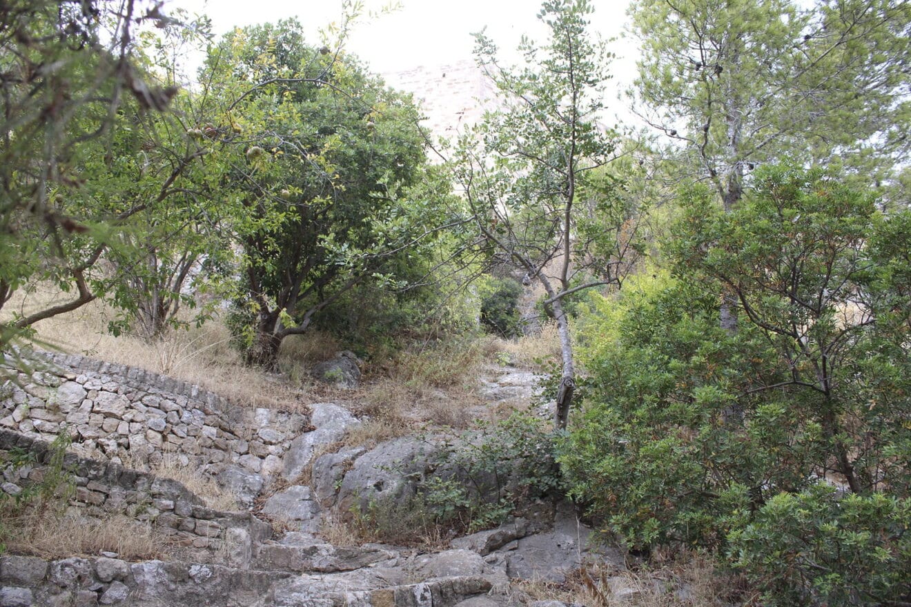 Verger baix del castillo