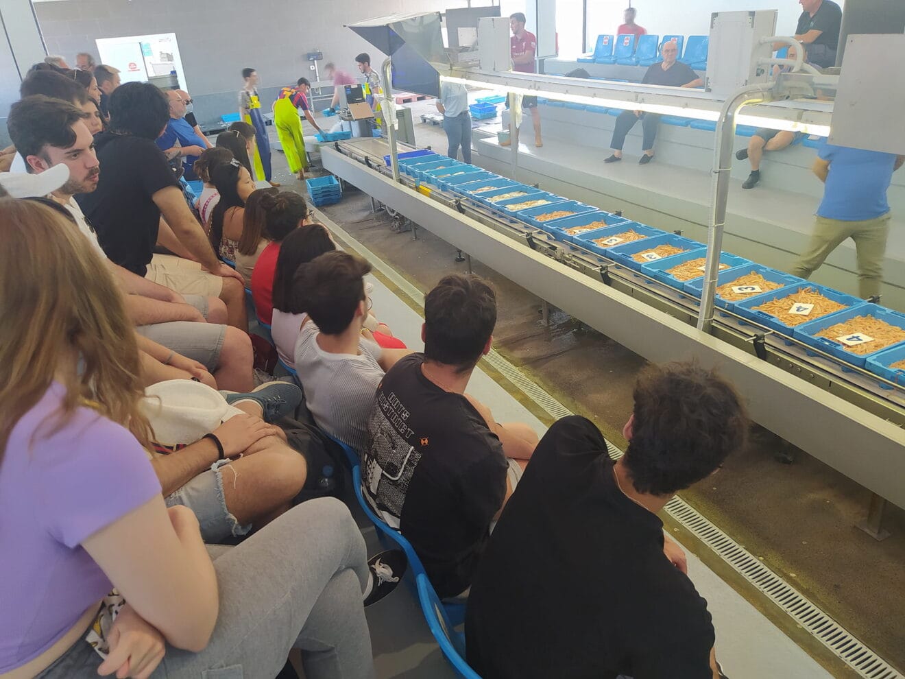 Visita a la lonja de Dénia