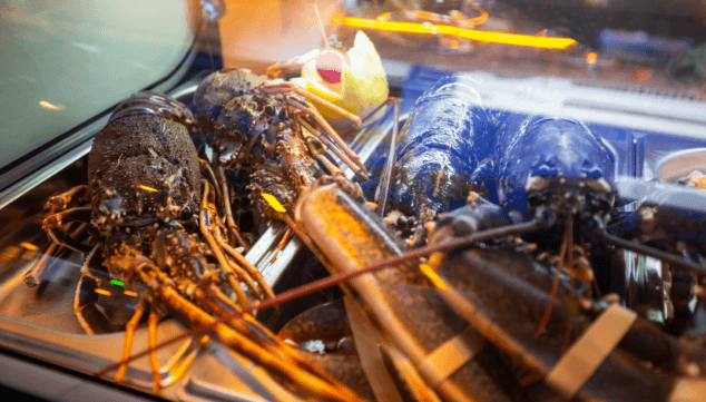 el marisc més fresc a duana wine experience