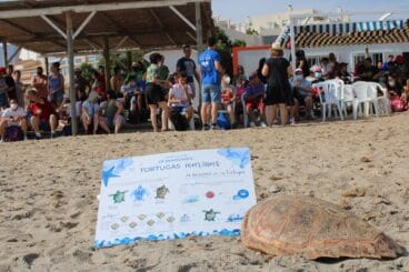 Suelta de tortugas en Dénia 01