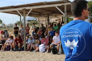 Suelta de tortugas en Dénia 02
