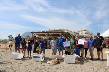 Suelta de tortugas en Dénia 12