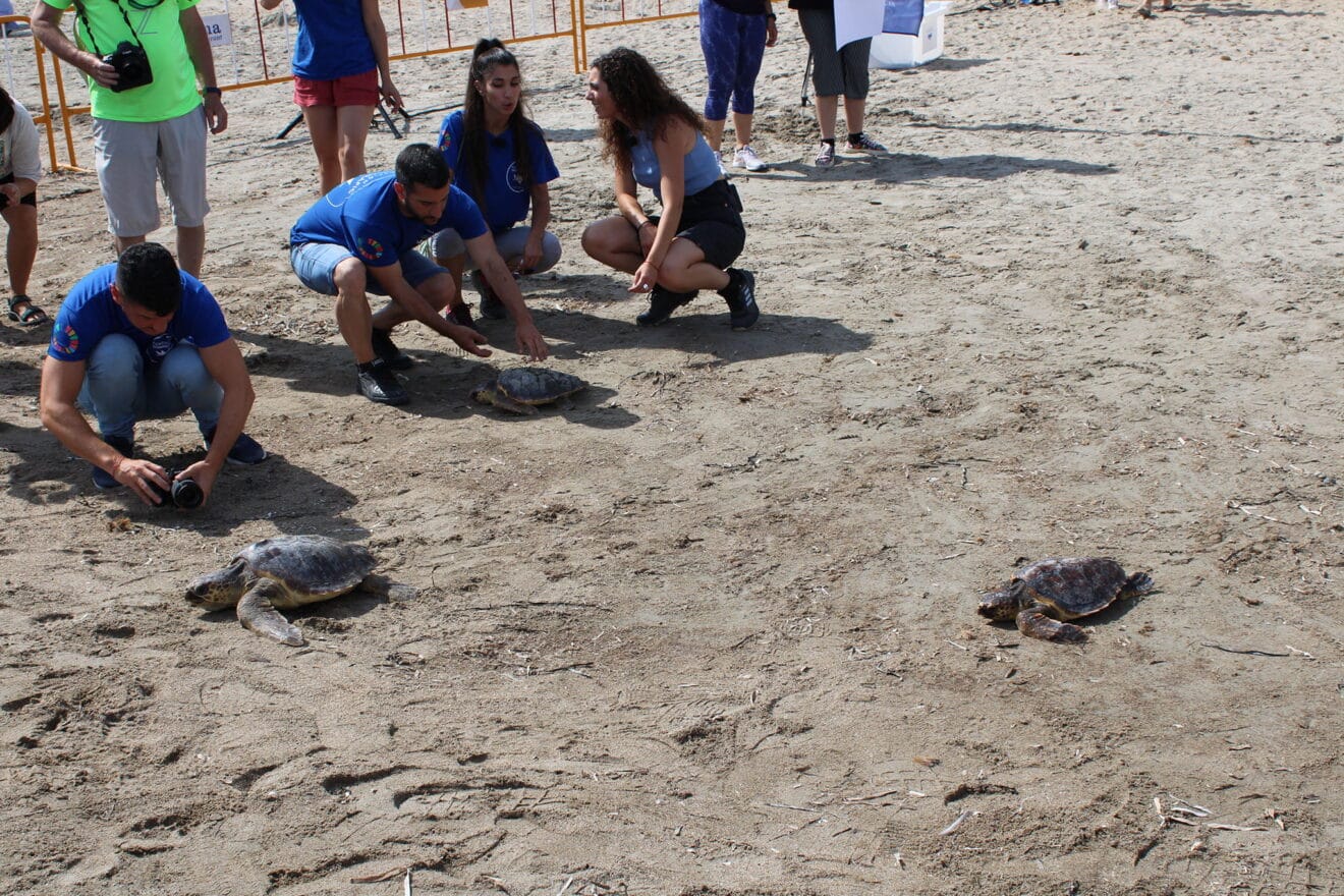 Suelta de tortugas en Dénia 13