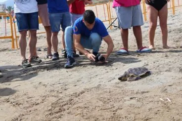 Suelta de tortugas en Dénia 17